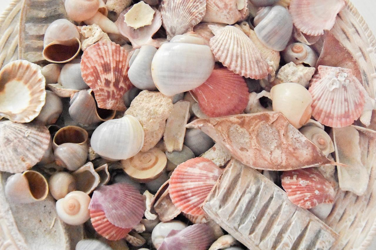 Lumarosa Home Polignano a Mare Zewnętrze zdjęcie